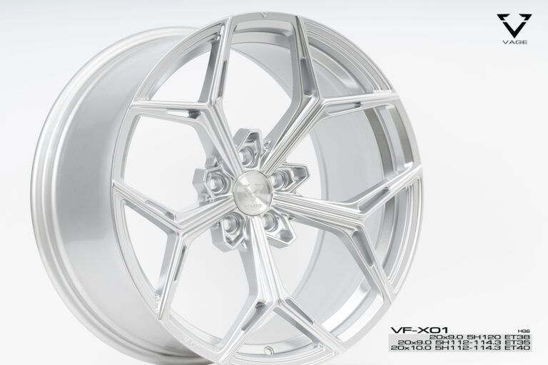 VF-X01_2010_HGS_4